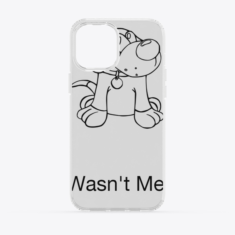 Wasn't Me 