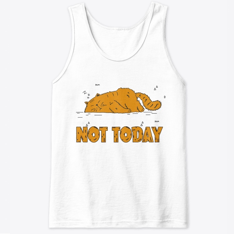 NO TODAY FUNNY CAT