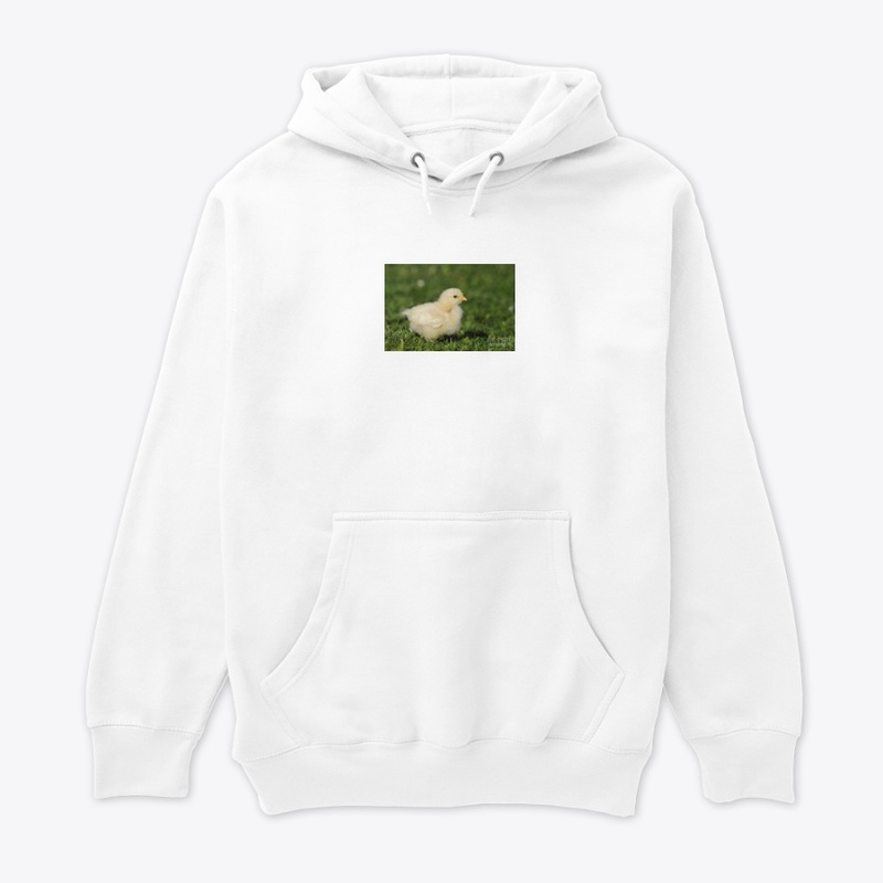Cute Chick design all Items can be use