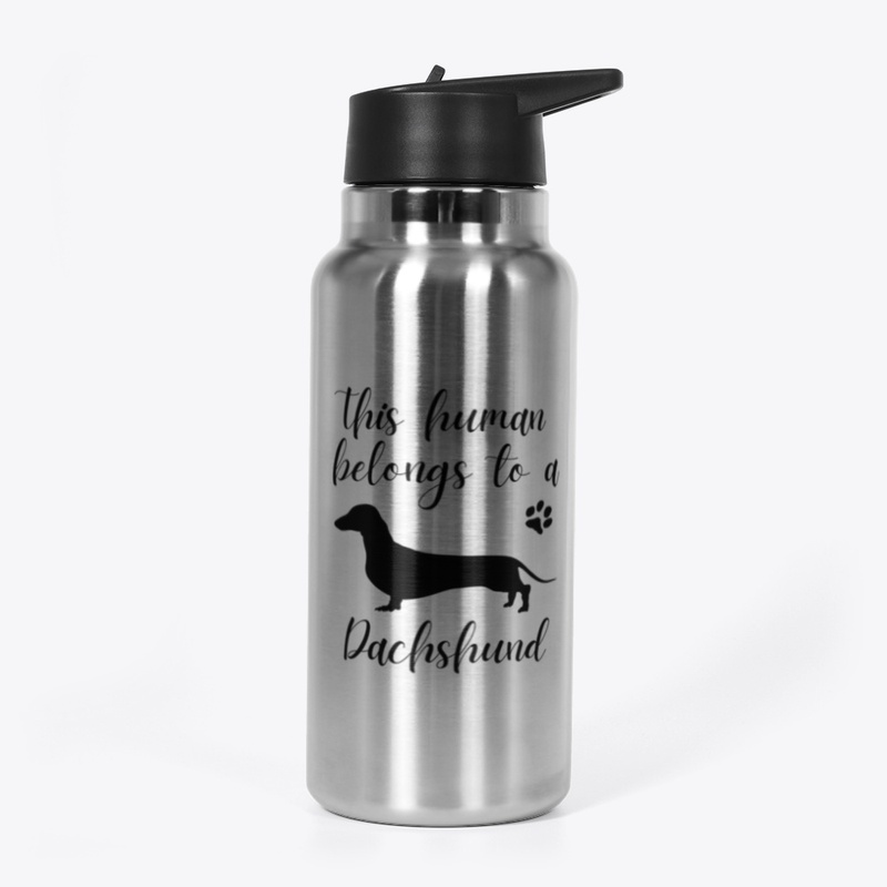 This human belongs to a Dachshund