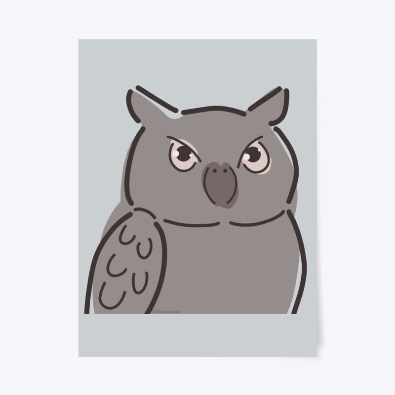Owl