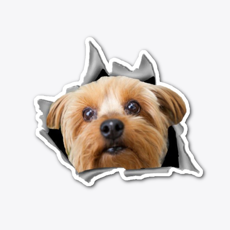 Yorkie nice sticker