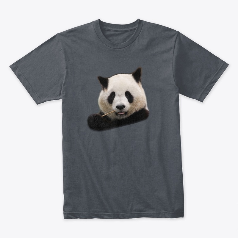 Giant panda 