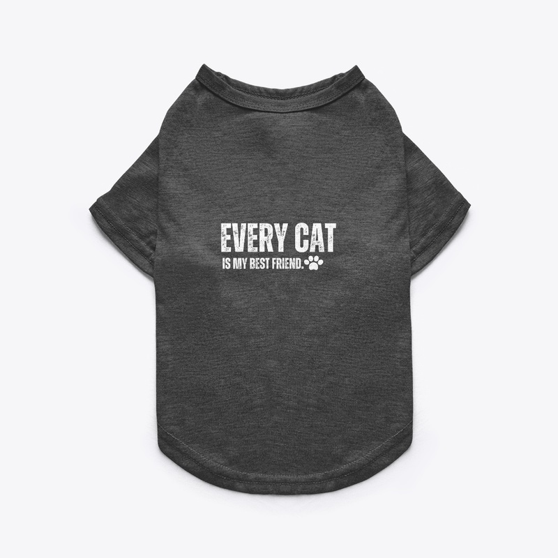 Every cat is my best friend.