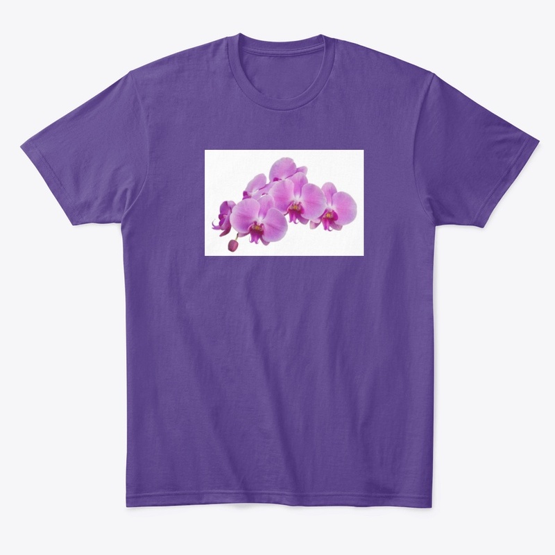 Women's Everyday Tees and Hoodies