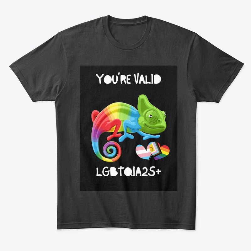You're Valid LGBTQIA2S+