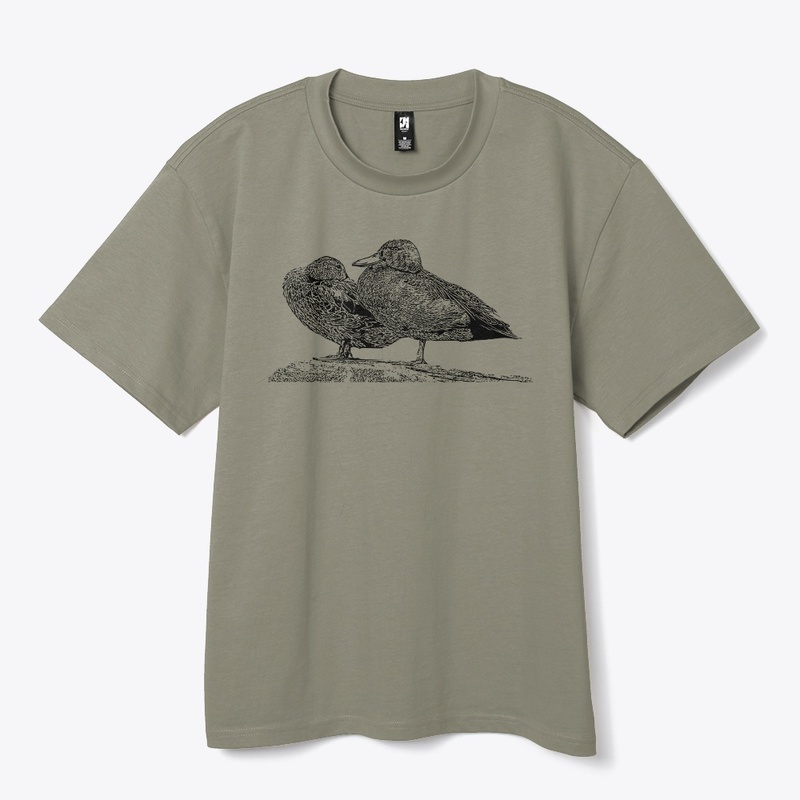 Cinnamon Teal