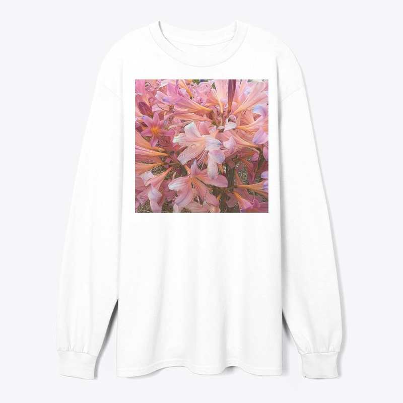 Pink Amaryllis