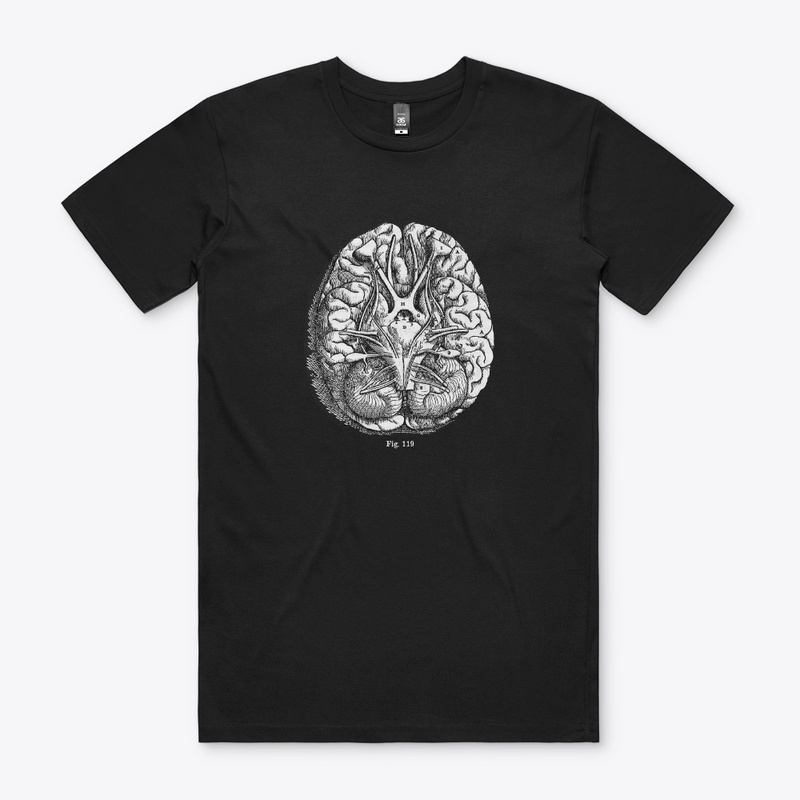 Brain Diagram
