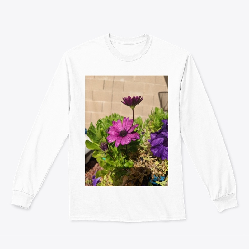Purple daisy