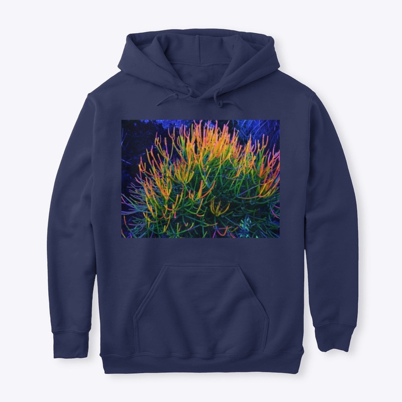 Rainbow Succulent 