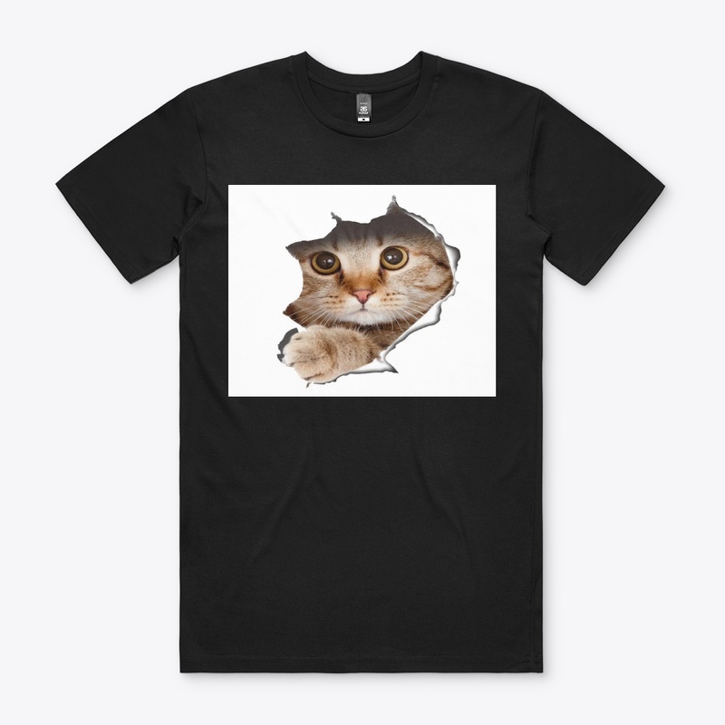CAT IS COMING OUT