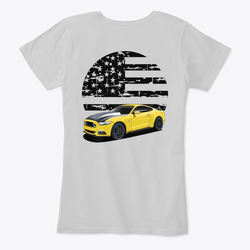 American Flag #3