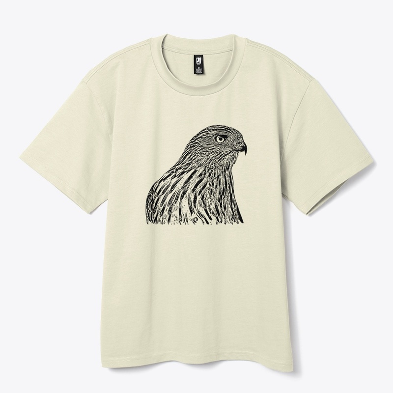 Cooper's Hawk Birdwatching
