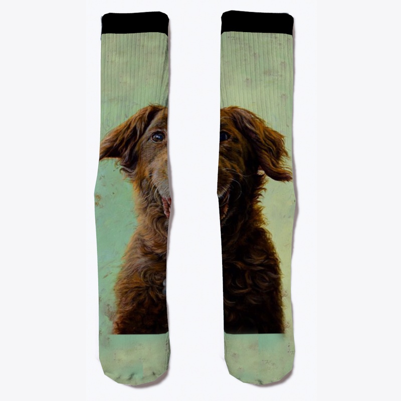 DOG SOCKS 