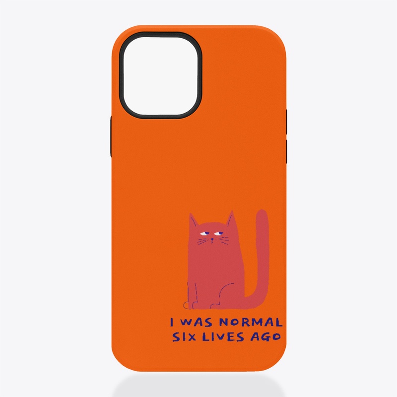 I was normal six lives ago, cat