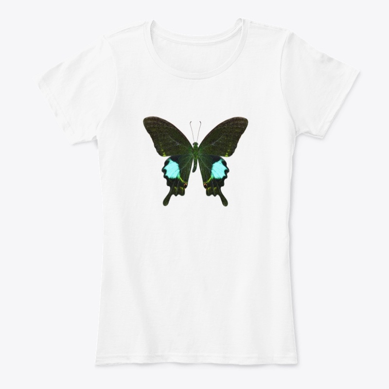 Butterfly #07