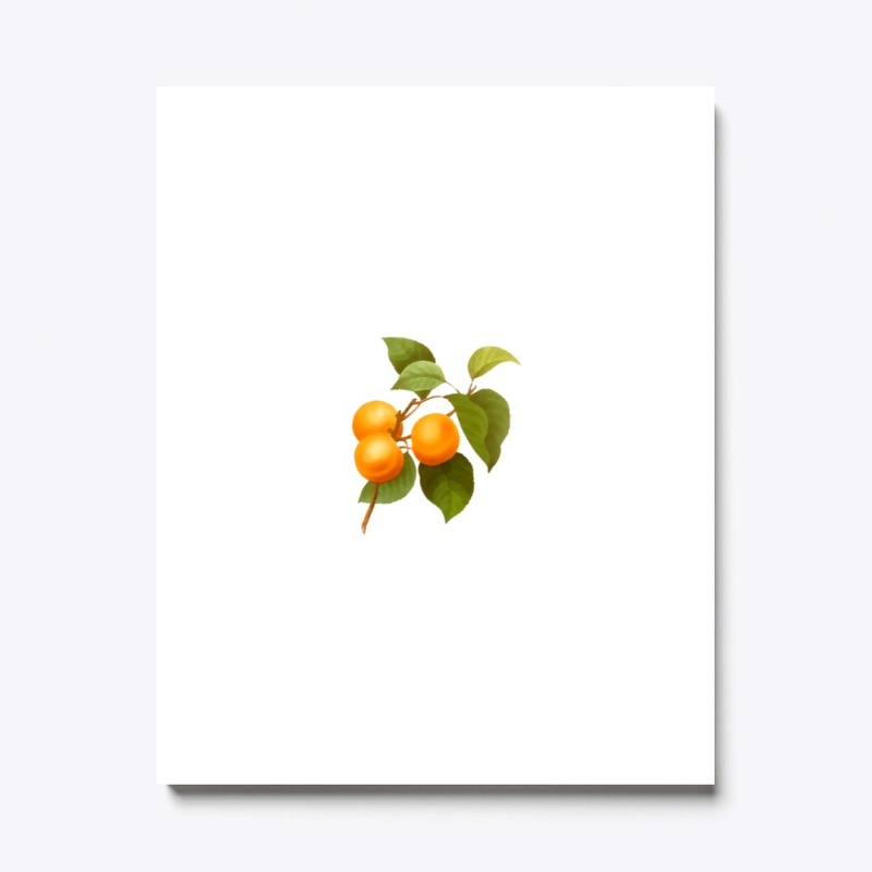 Vintage apricot fruit