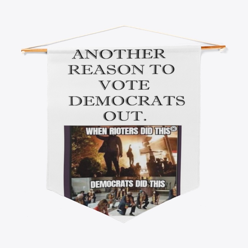 REason1 to vote Dems Out