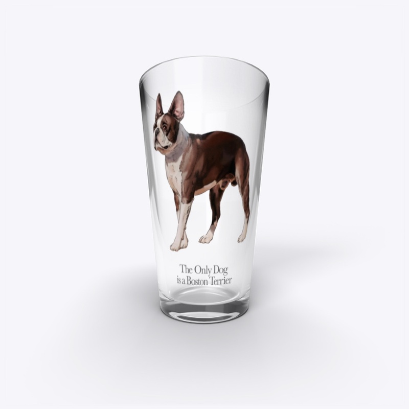 The Only Dog is a Boston Terrier #2