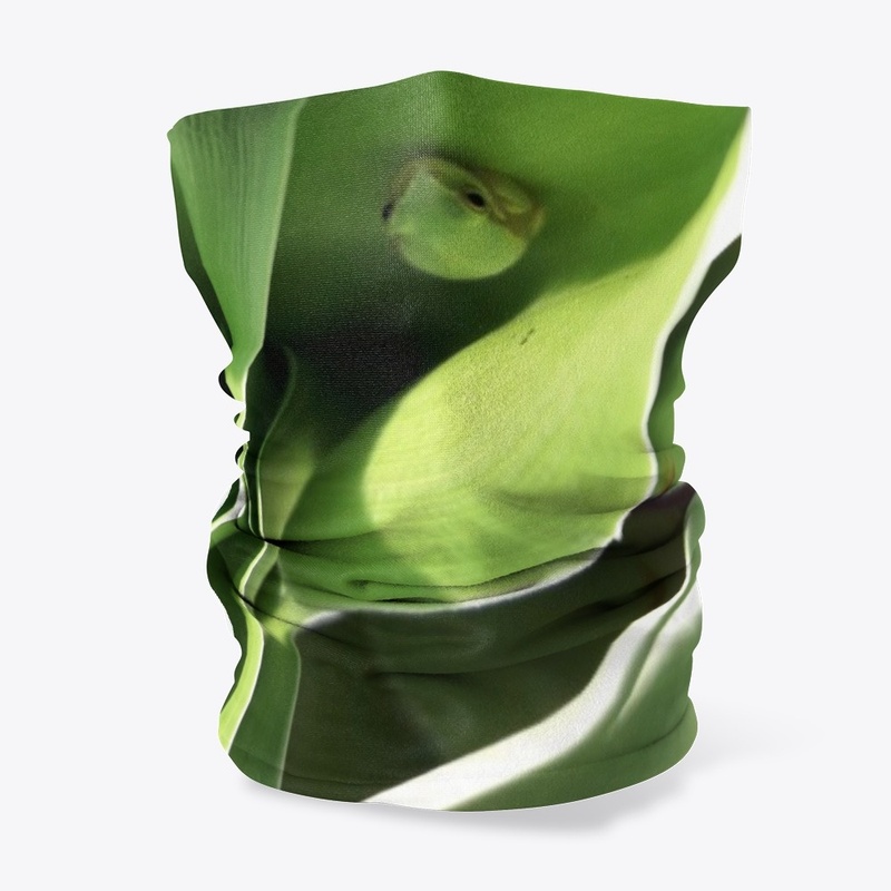 Green frog
