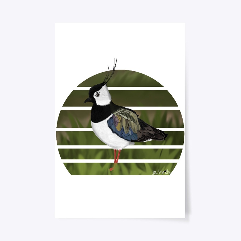 jz.birds Northern Lapwing Bird Design