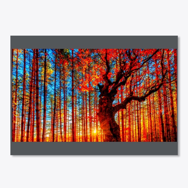 Beautiful fall