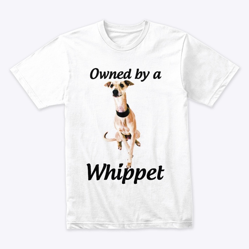owned by a whippet dog