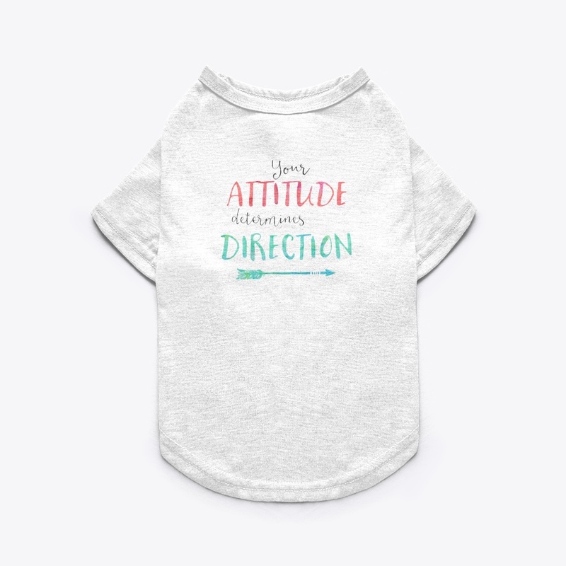 your attitude determines Direction