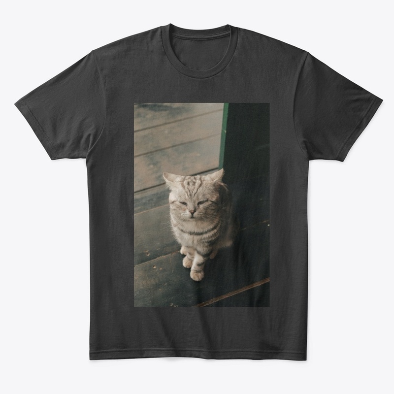 Kitten T-shirt