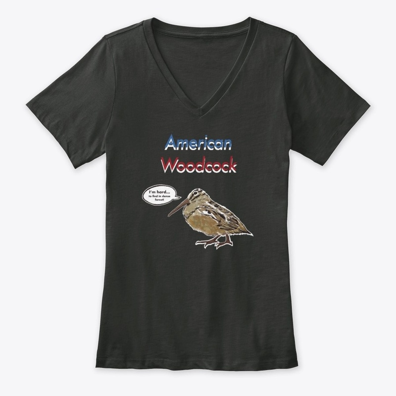 American Woodcock