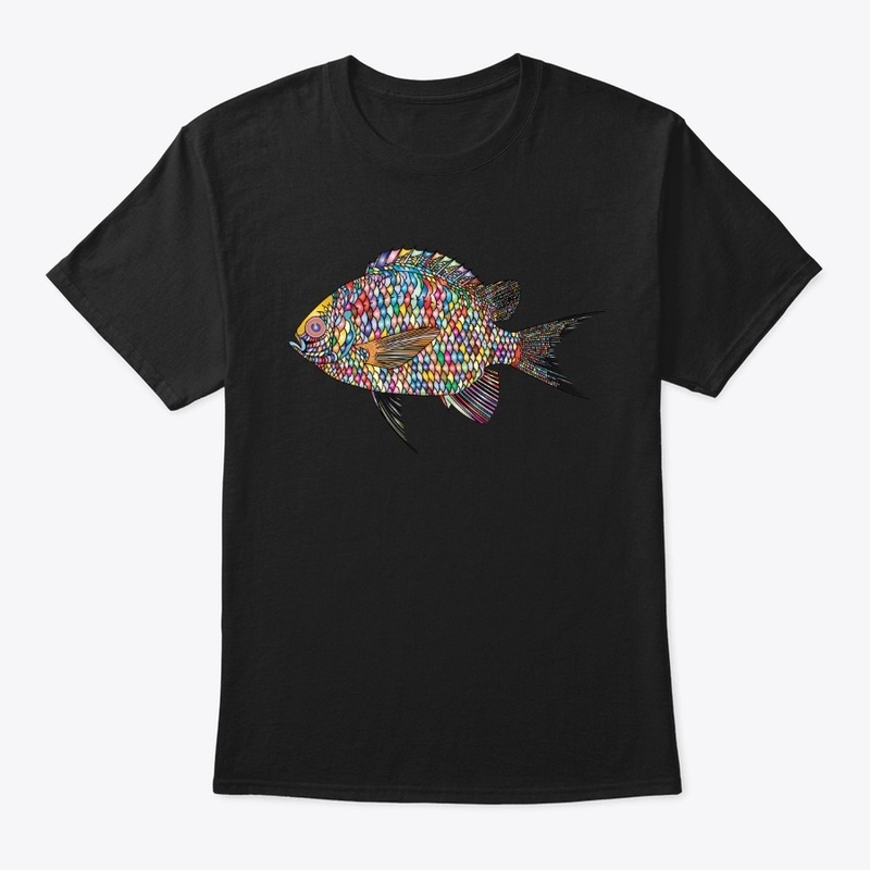Rainbow fish