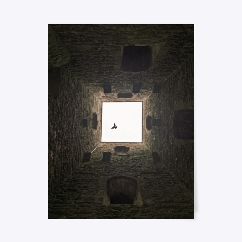 Flight from the Tor