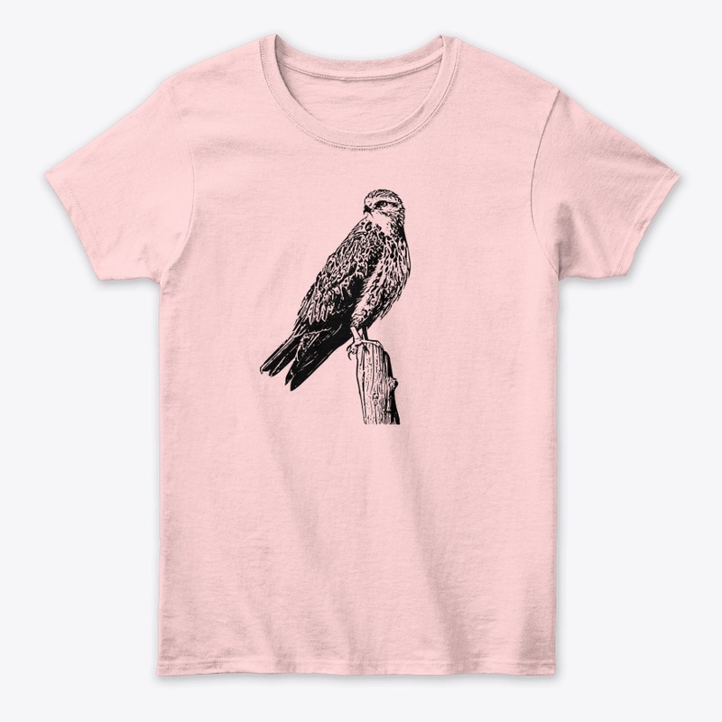 Birdwatching- Swainson's Hawk