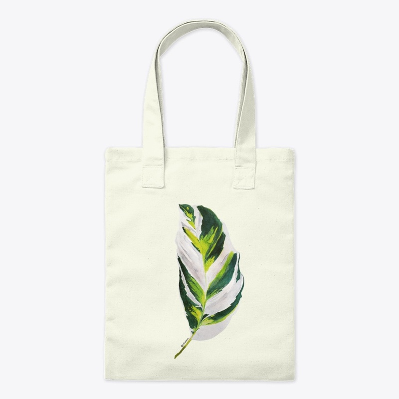 Calathea White Fusion Leaf