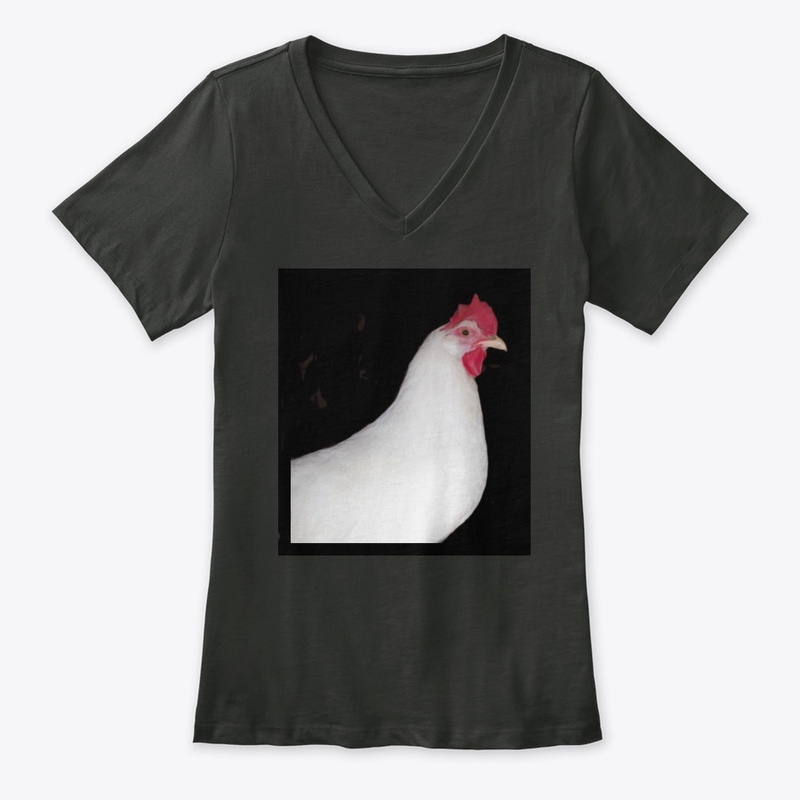 white leghorn hen chicken farm animal