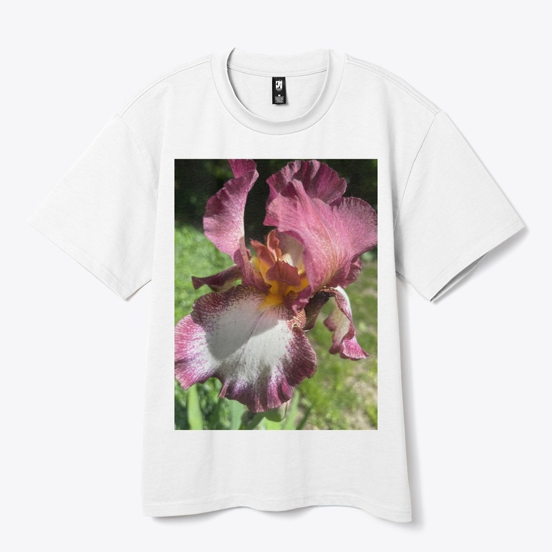 Burgundy Iris