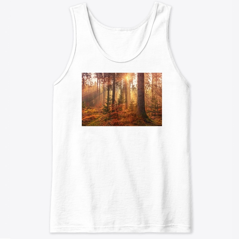Value12 Sunshine in the forest