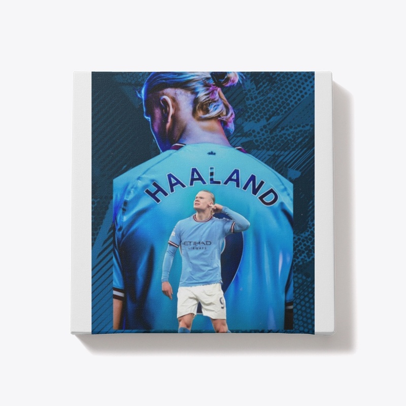 Erling haaland the viking