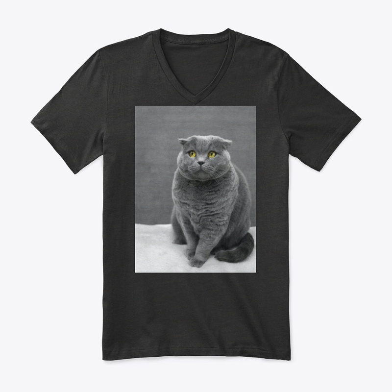 I LOVE MY CAT