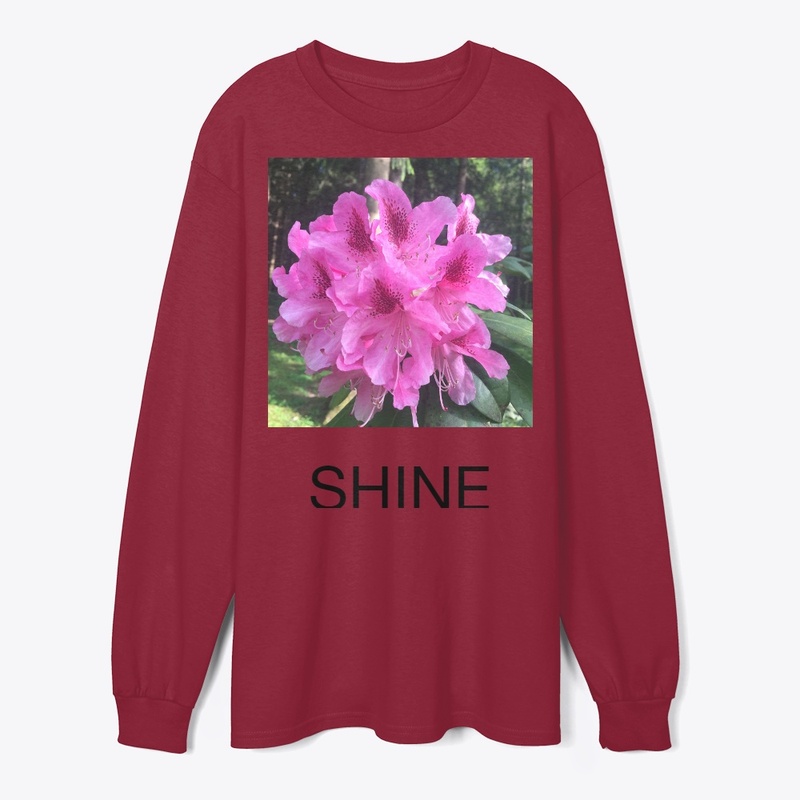 SHINE