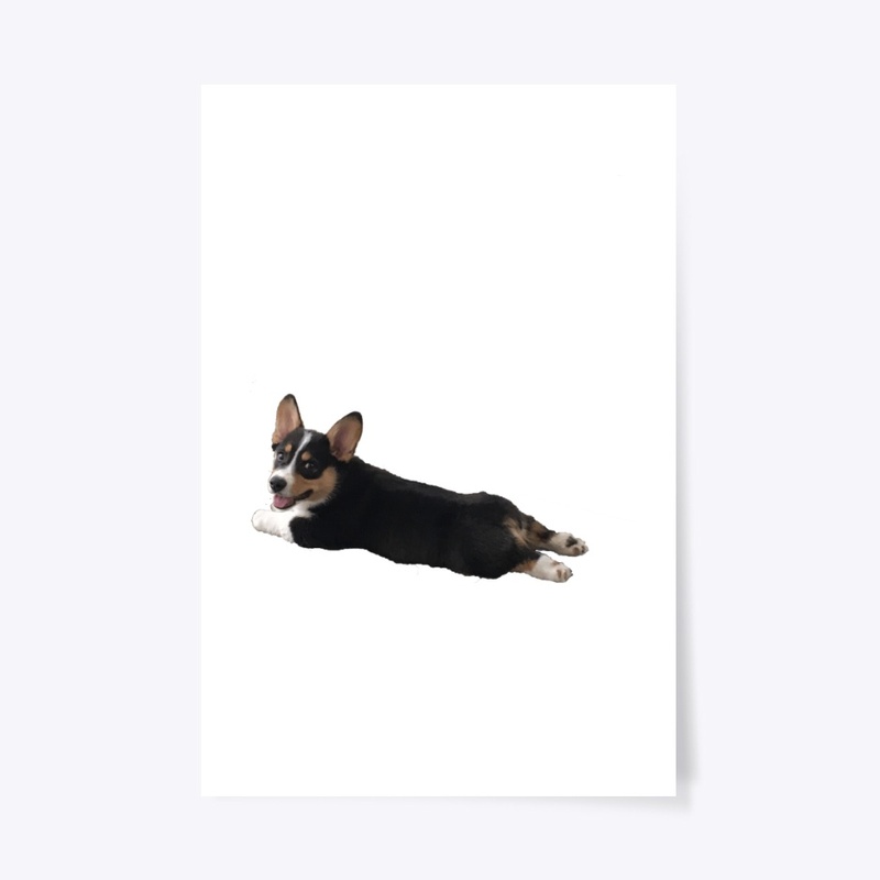 Splootin'