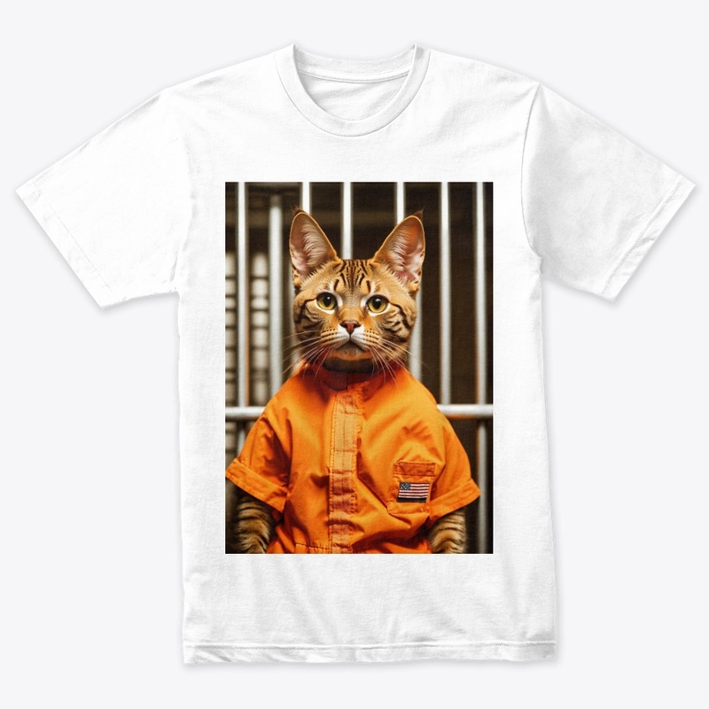 funny cat 