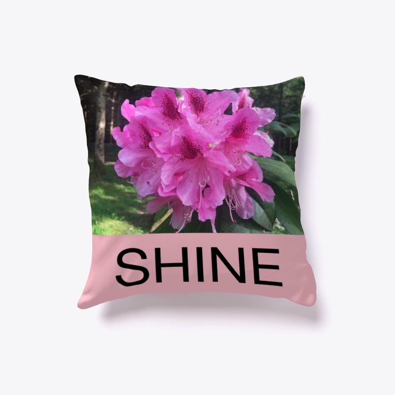 SHINE