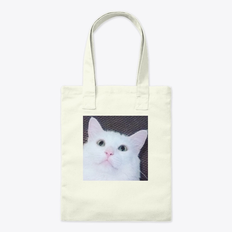 Sushi the Cat