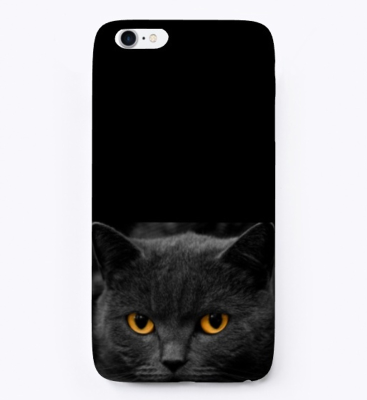 Grey cat