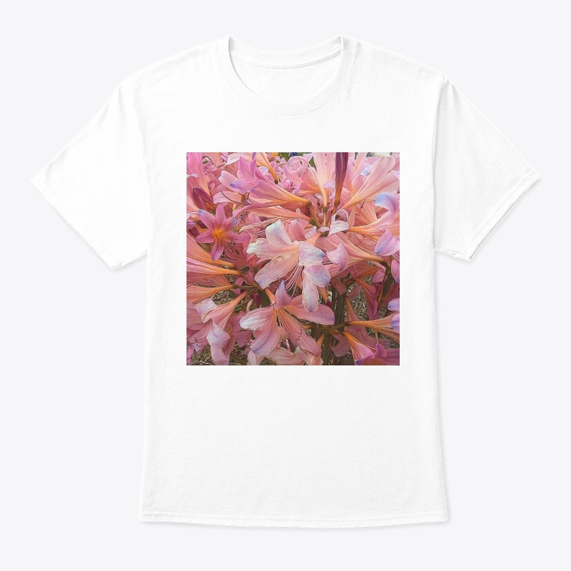 Pink Amaryllis
