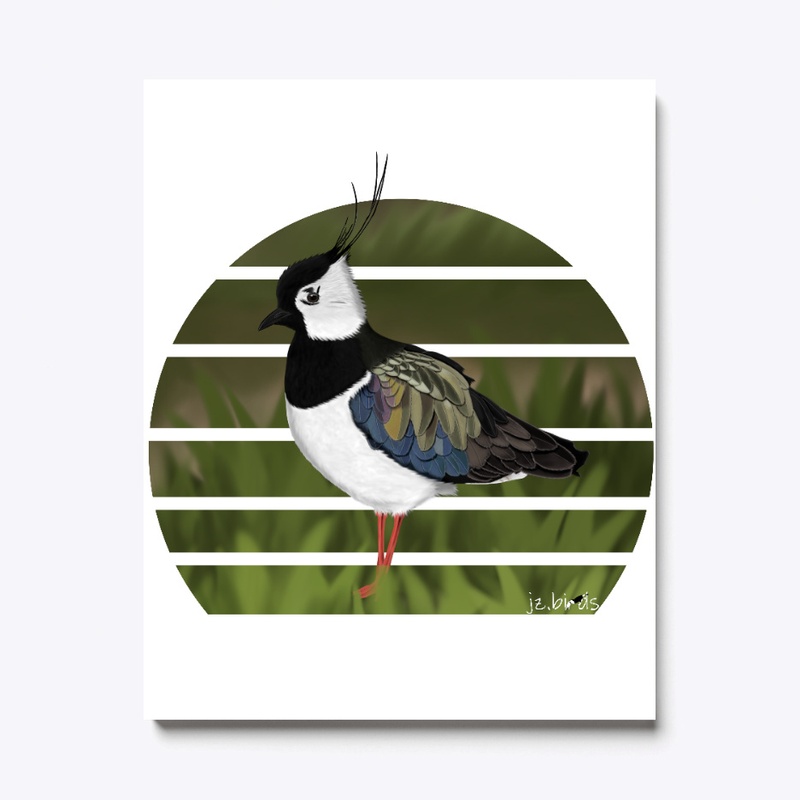 jz.birds Northern Lapwing Bird Design