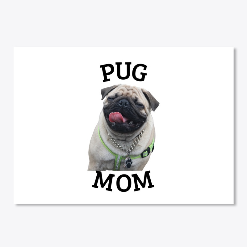 pug items