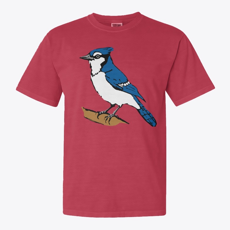 Blue Jay bird on a branch 